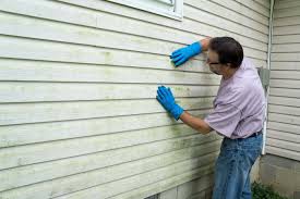 Best Insulated Siding Installation  in Painted Post, NY